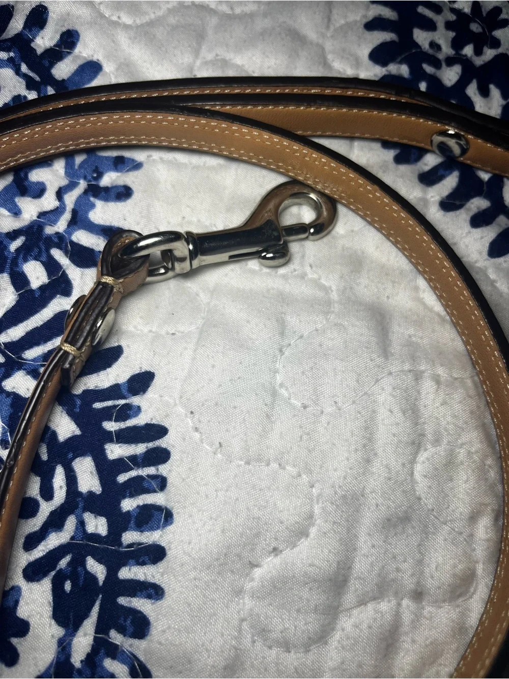 Coach premium leash